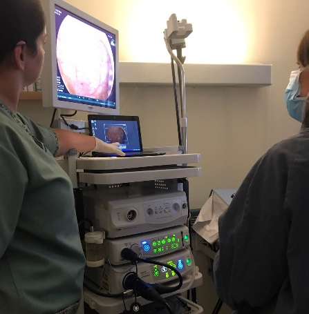 Endoscopía